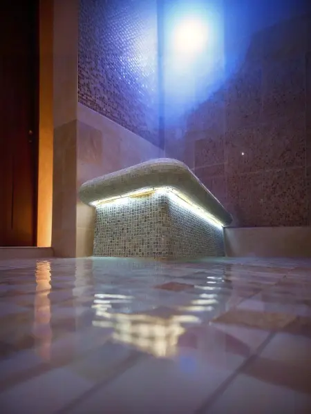 Светодиодная лента для хамама WML-120-W, IP67, 5м, холодный белый