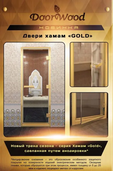 Дверь для турецкой парной DoorWood 700мм х 1900мм, золотой профиль, сатин
