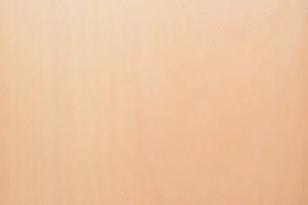 Стеновые панели Termomuros из шпона Бука, 1м²