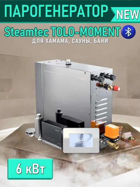 Парогенератор Steamtec MOMENT-60 6,0кВт для хамама с пультом управления