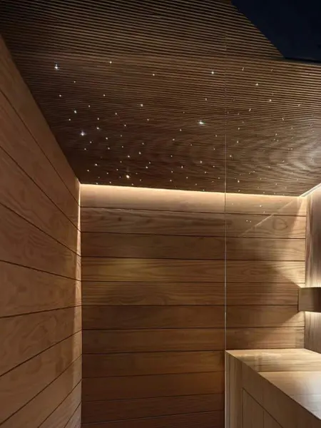 Оптоволоконное звездное небо для сауны Cariitti Starry Sky-100, 1815002