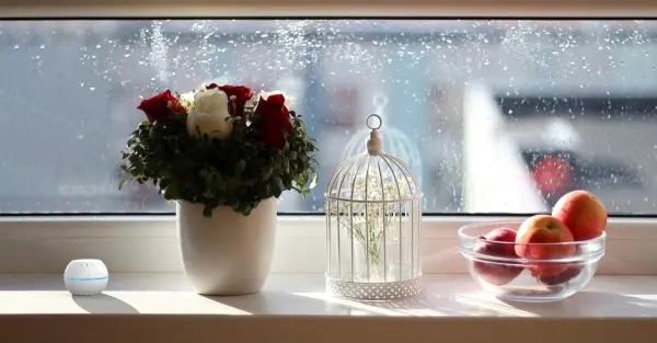 Датчик температуры и влажности Shelly H&T, White